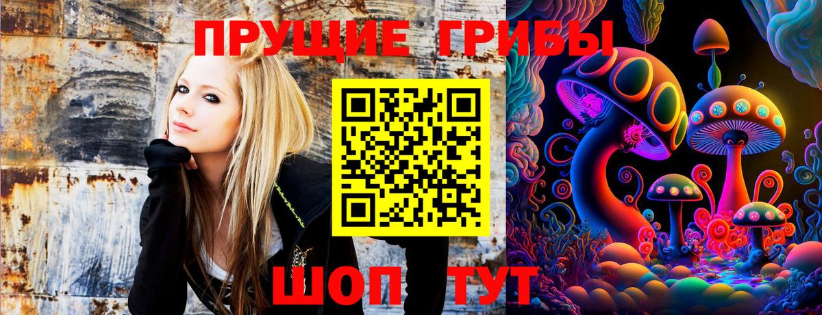 Галлюциногенные грибы прущие грибы  Вход с VPN  Галлюциногенные грибы Magic Shrooms  Трёхгорный 